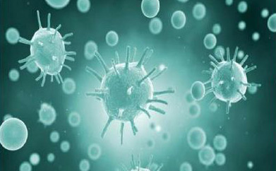 （图：生物发酵工艺）