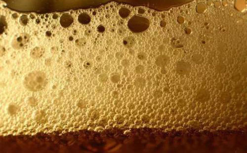 （图：生物发酵起泡原因分析）