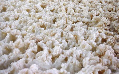 （图：生物发酵泡沫的危害）