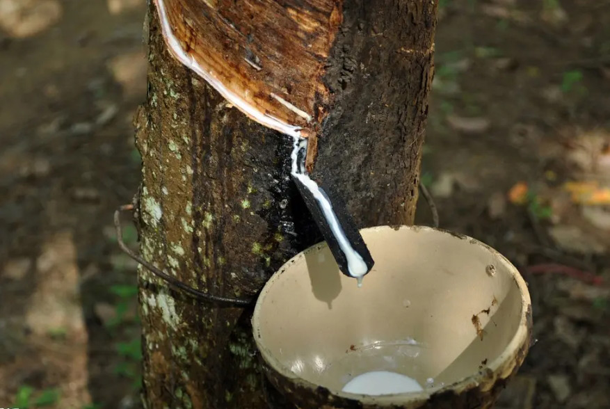 天然乳胶增稠剂